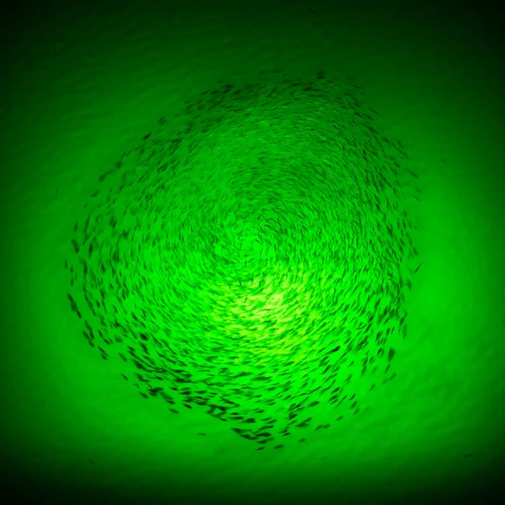 Catch & Camp Underwater Green Fishing Light 120W / 180W