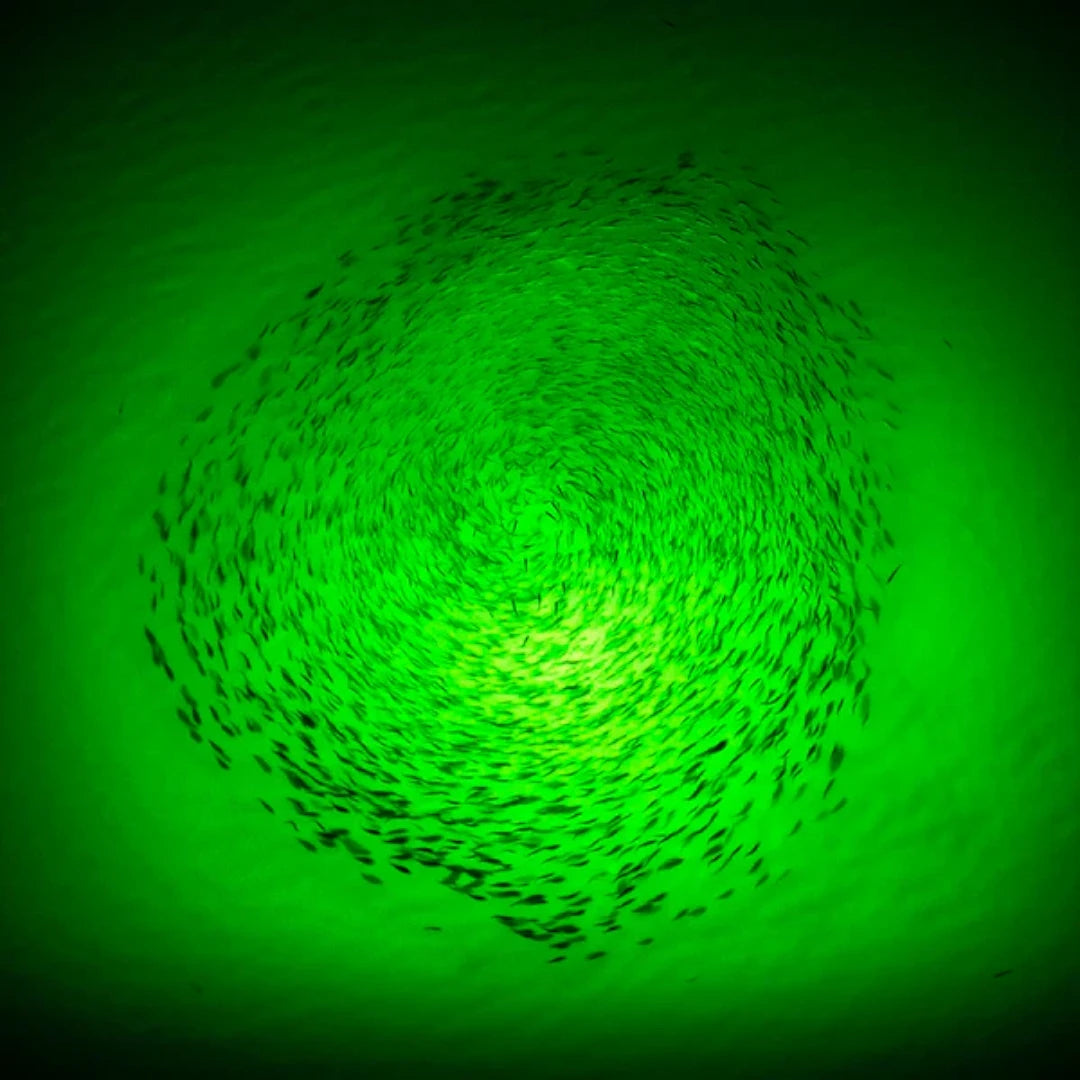 Catch & Camp Underwater Green Fishing Light 120W / 180W